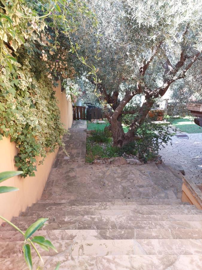 L'Orchidea Villa Capitana Ngoại thất bức ảnh